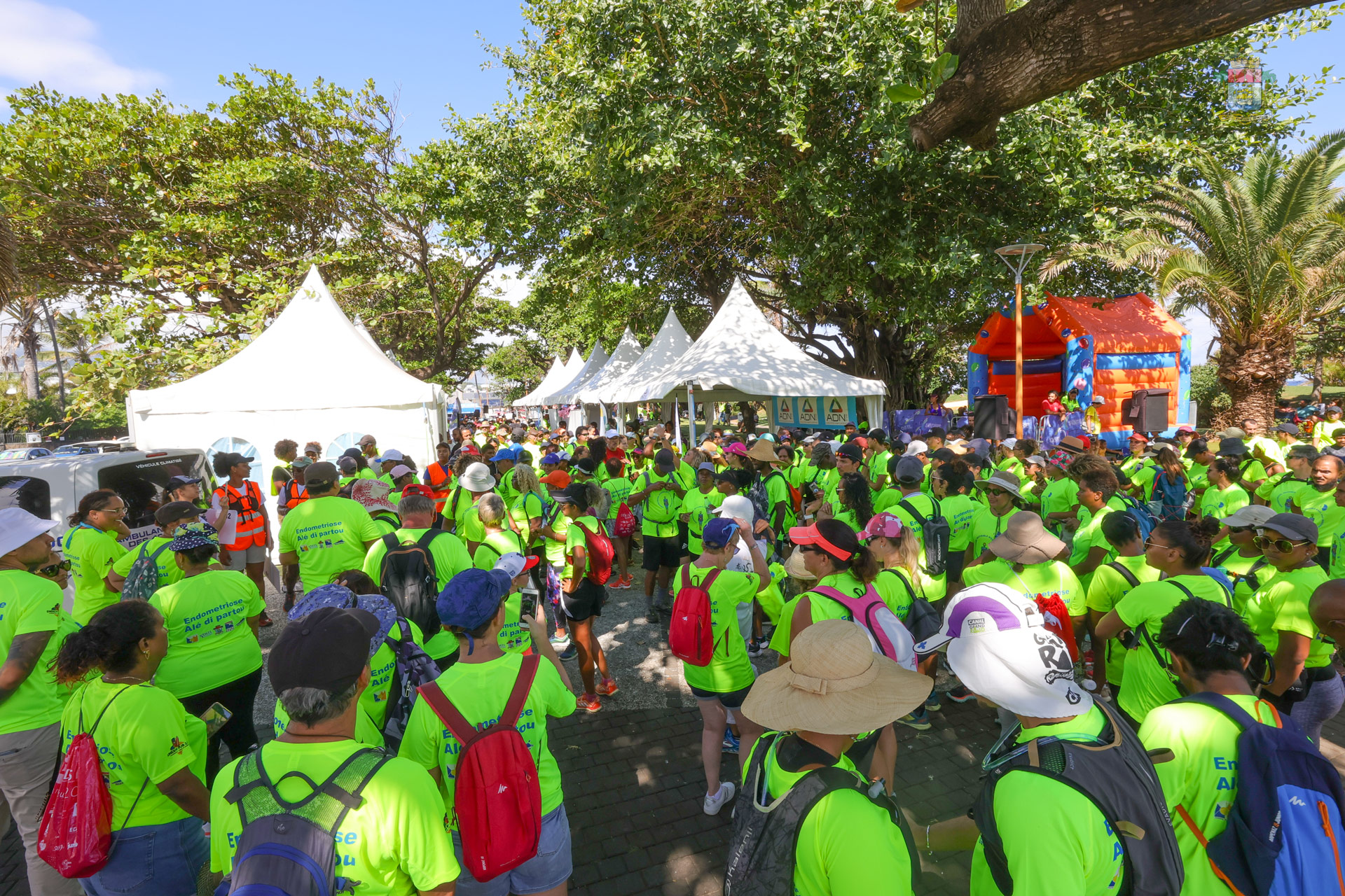 lutte contre l'endométriose