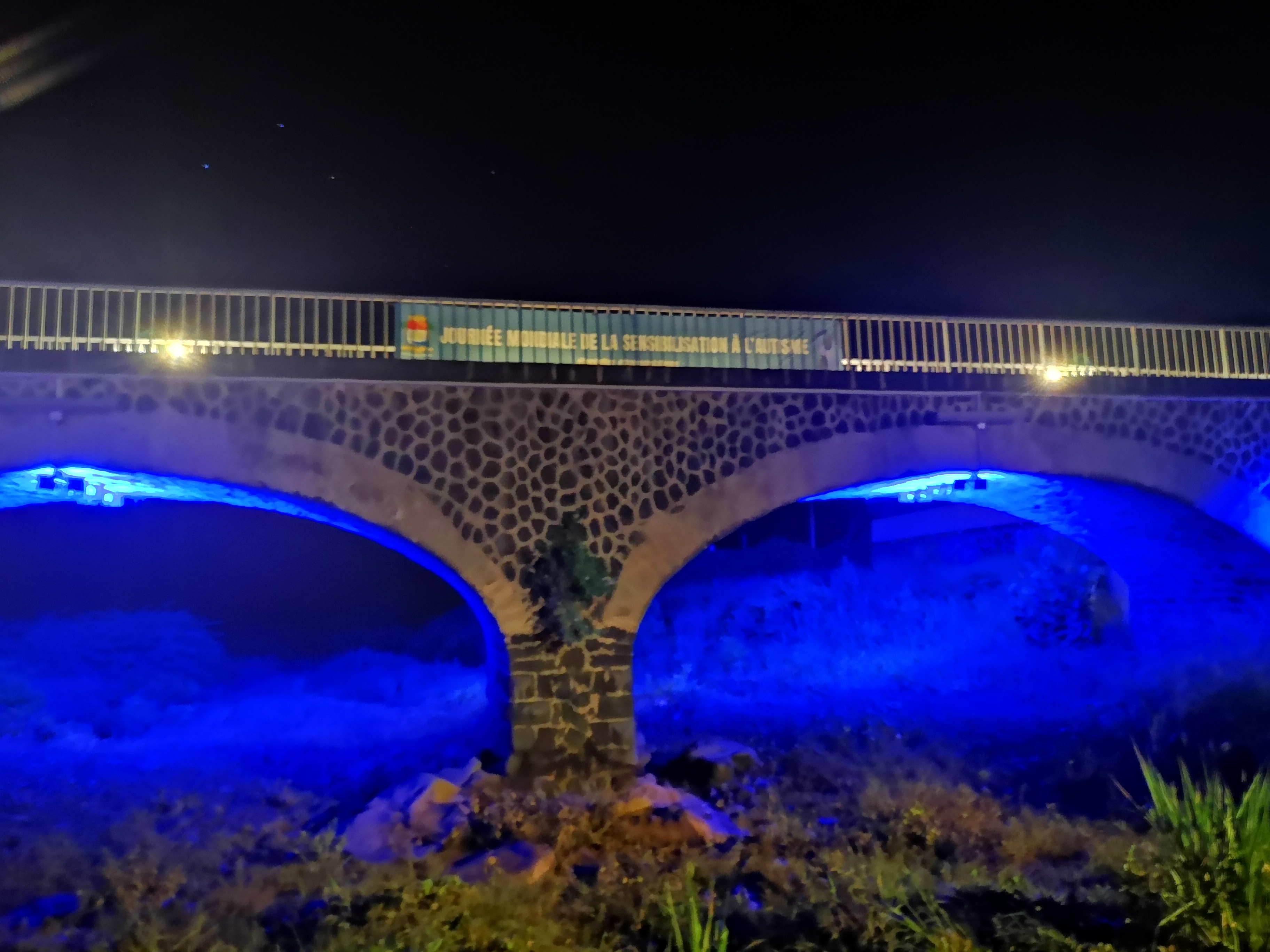 Journée mondiale de la sensibilisation à l'autisme