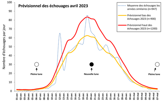 Prévisionnel des échouages