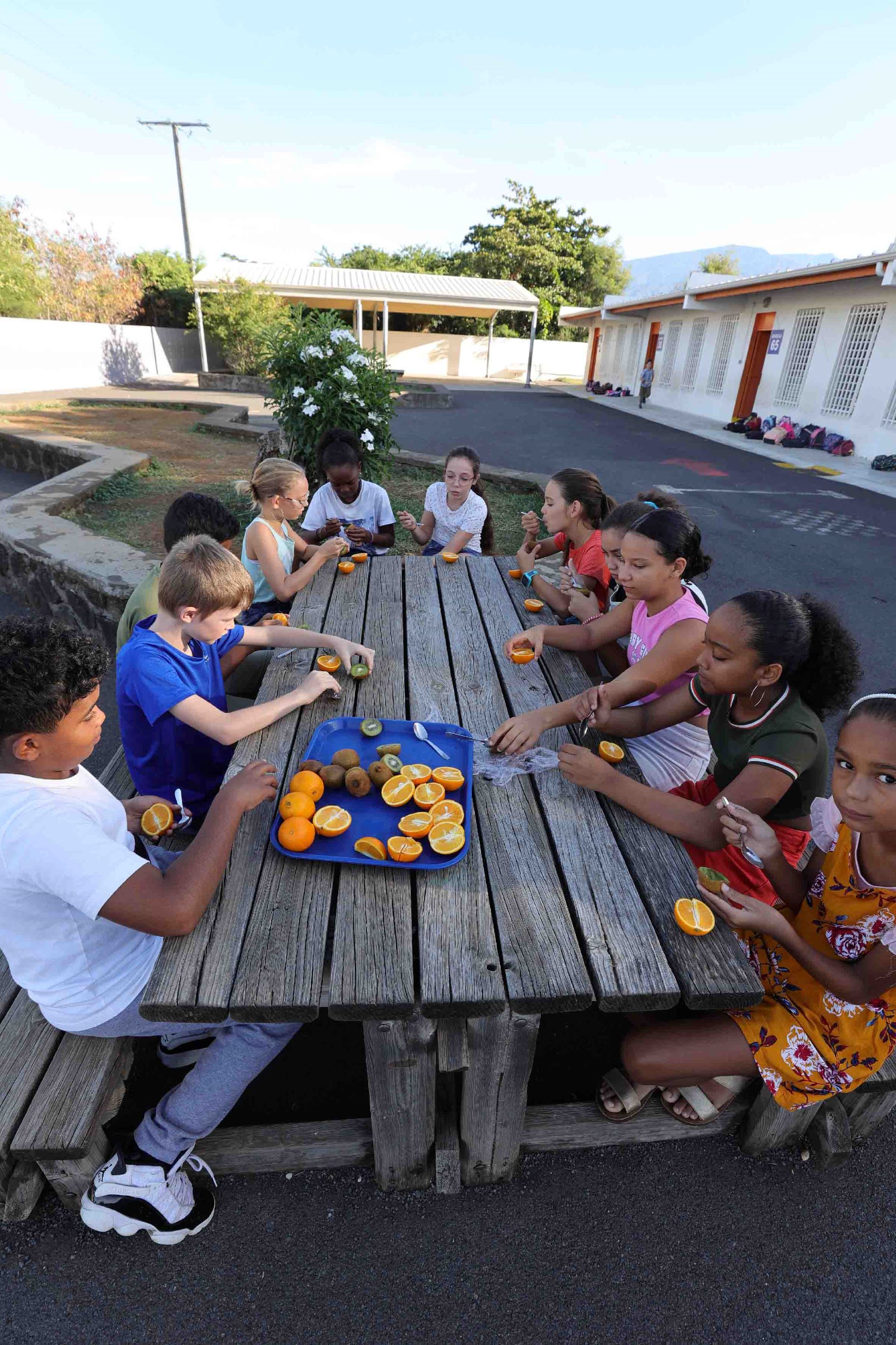 education nutritionnelle