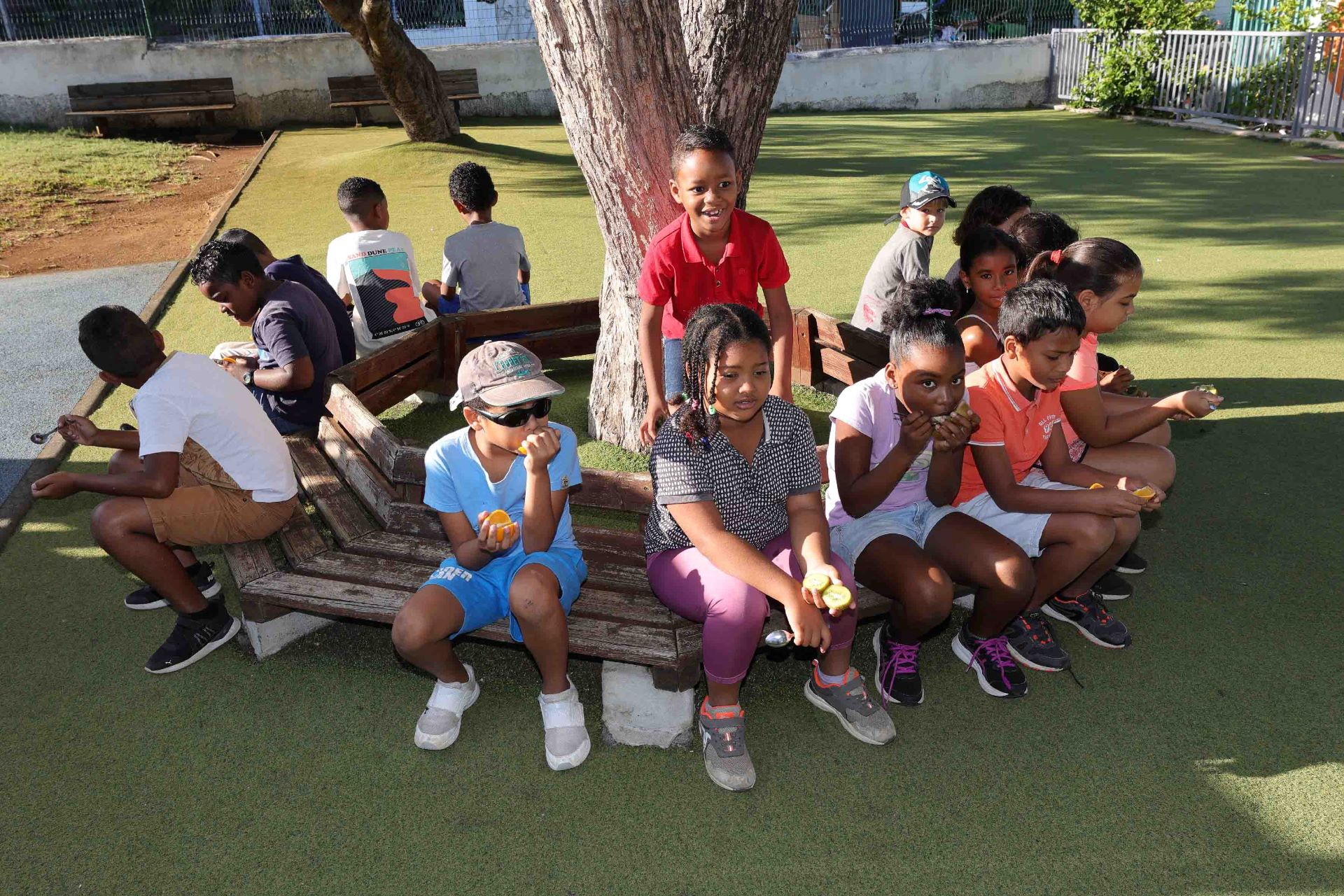 éducation nutritionnelle