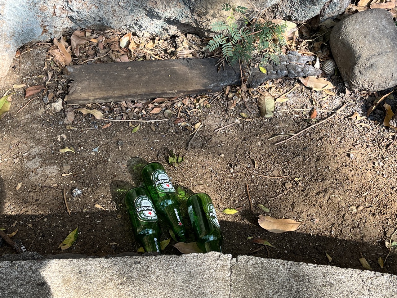 clean up st pierre dechets bouteilles