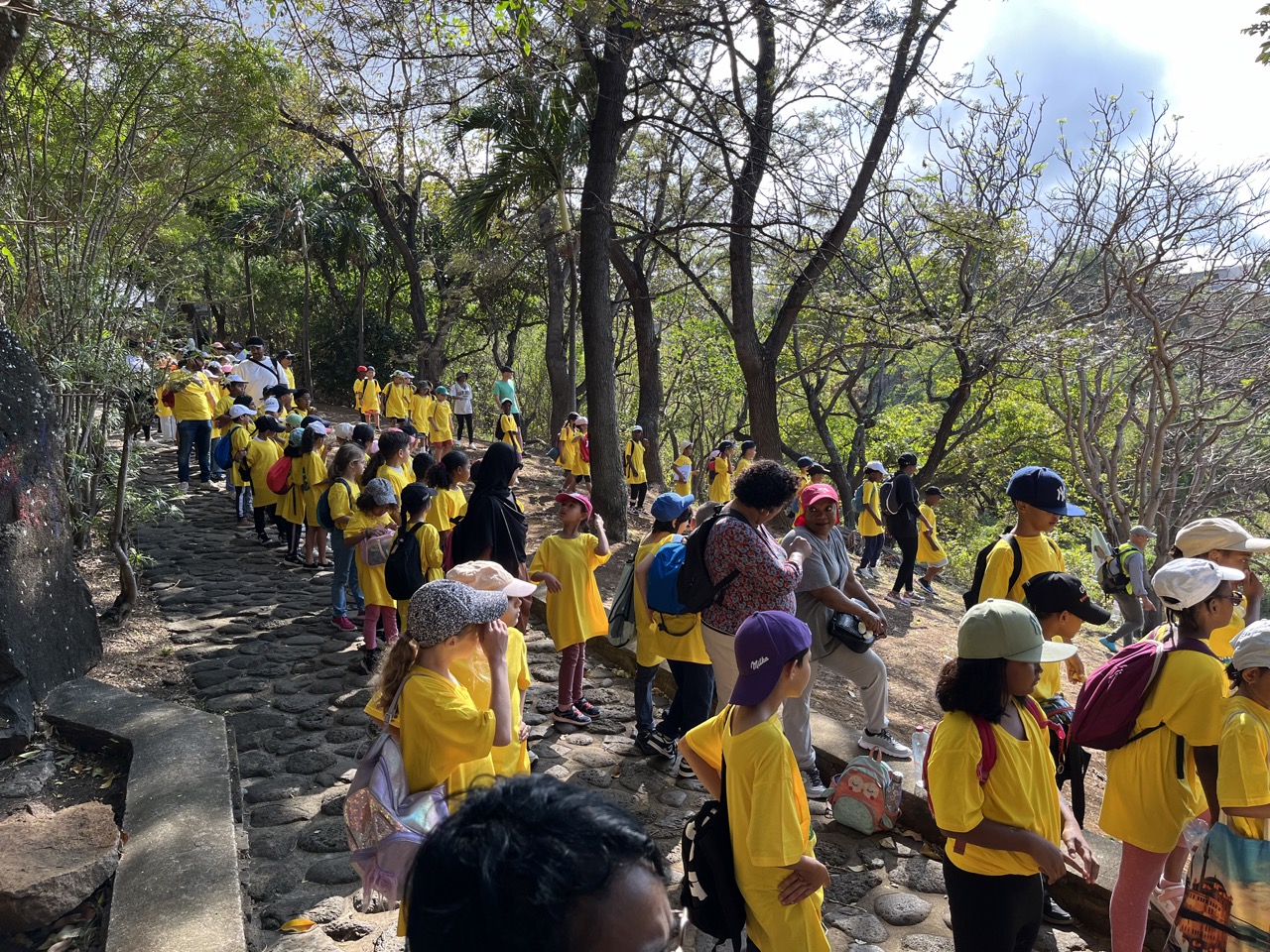 riviere d abord clean up st pierre