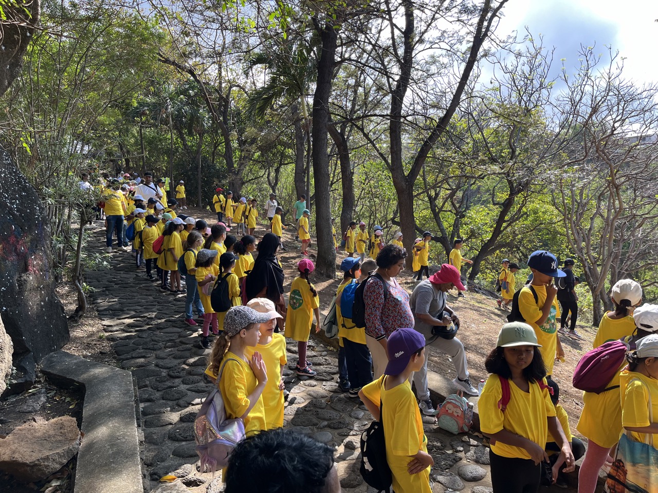 clean up st pierreclean up st pierre