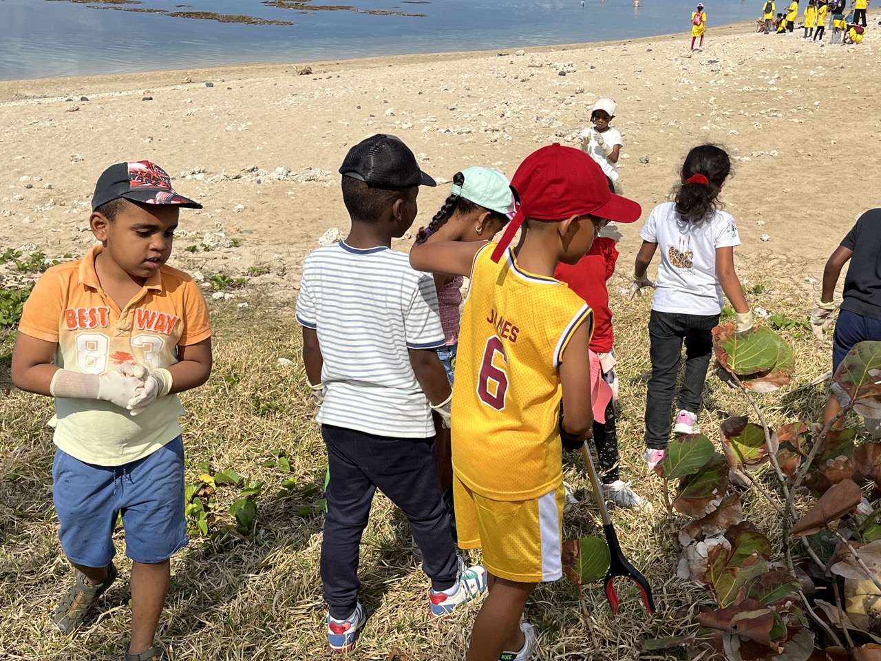 clean up st pierre francois isautier