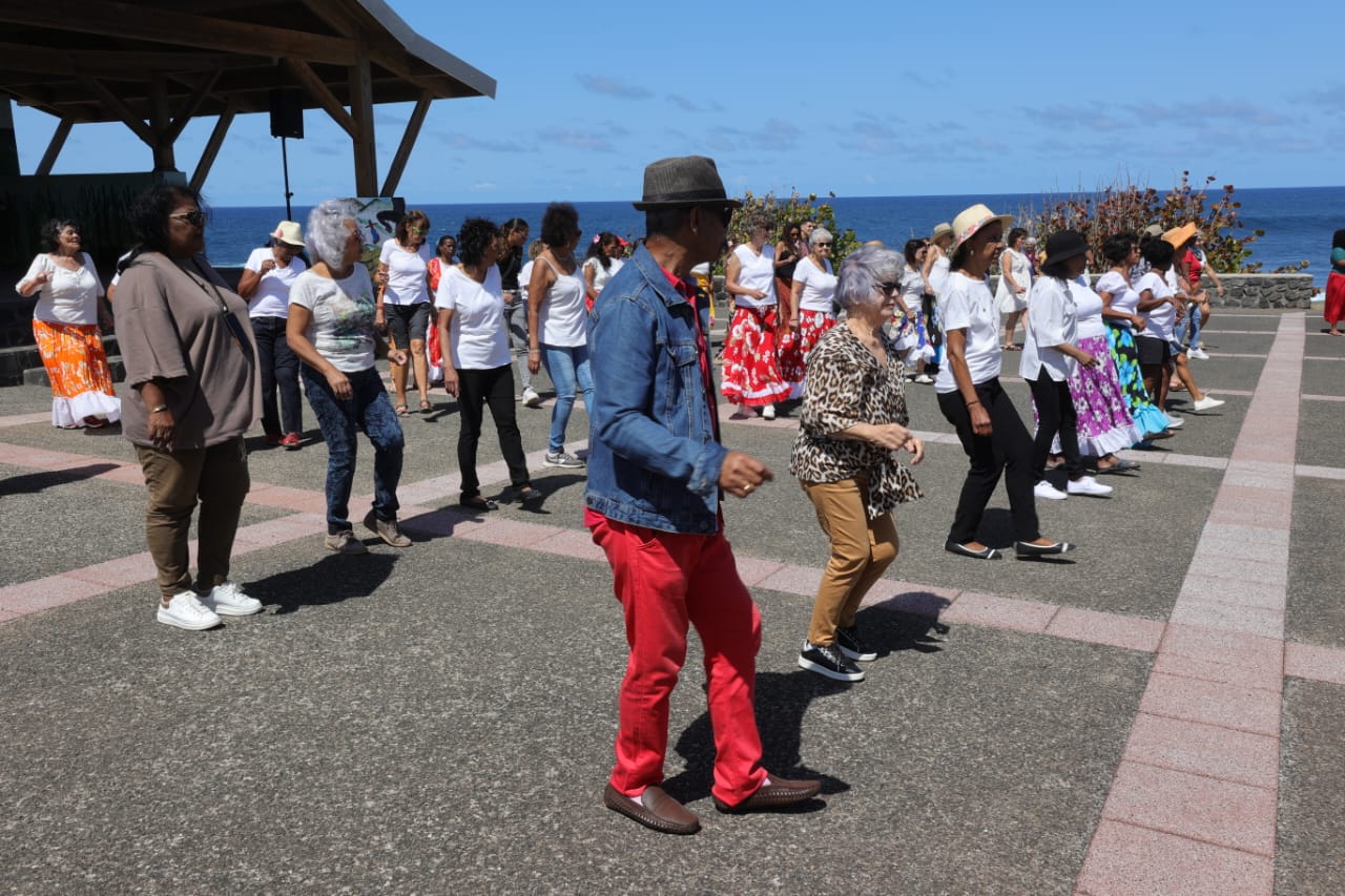 MALOYA 15 ANS 081024