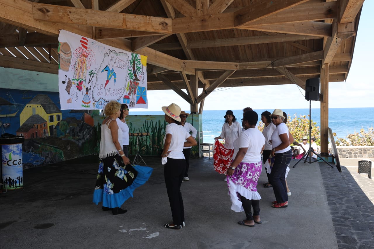 MALOYA 15 ANS 081024