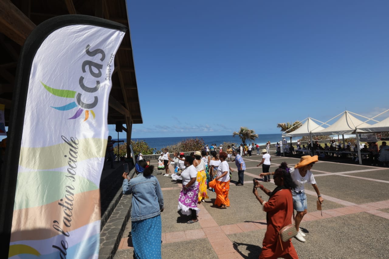 MALOYA 15 ANS 081024