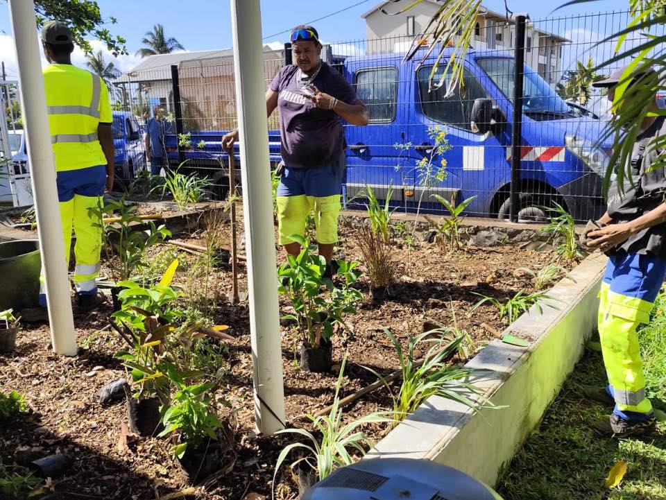 Végétalisation de la Mairie Annexe de Grand Bois