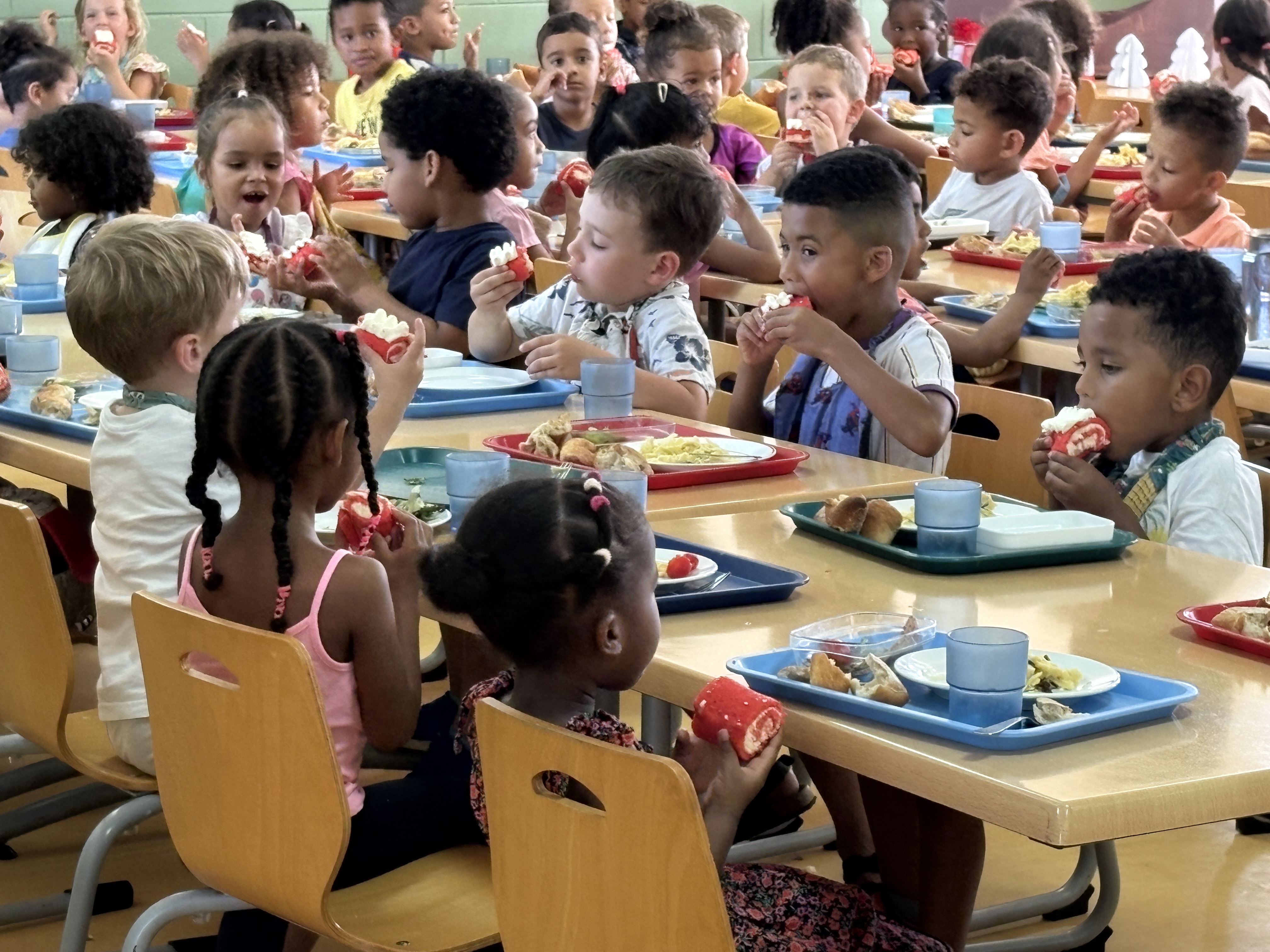cantine ecole benjamin moloise