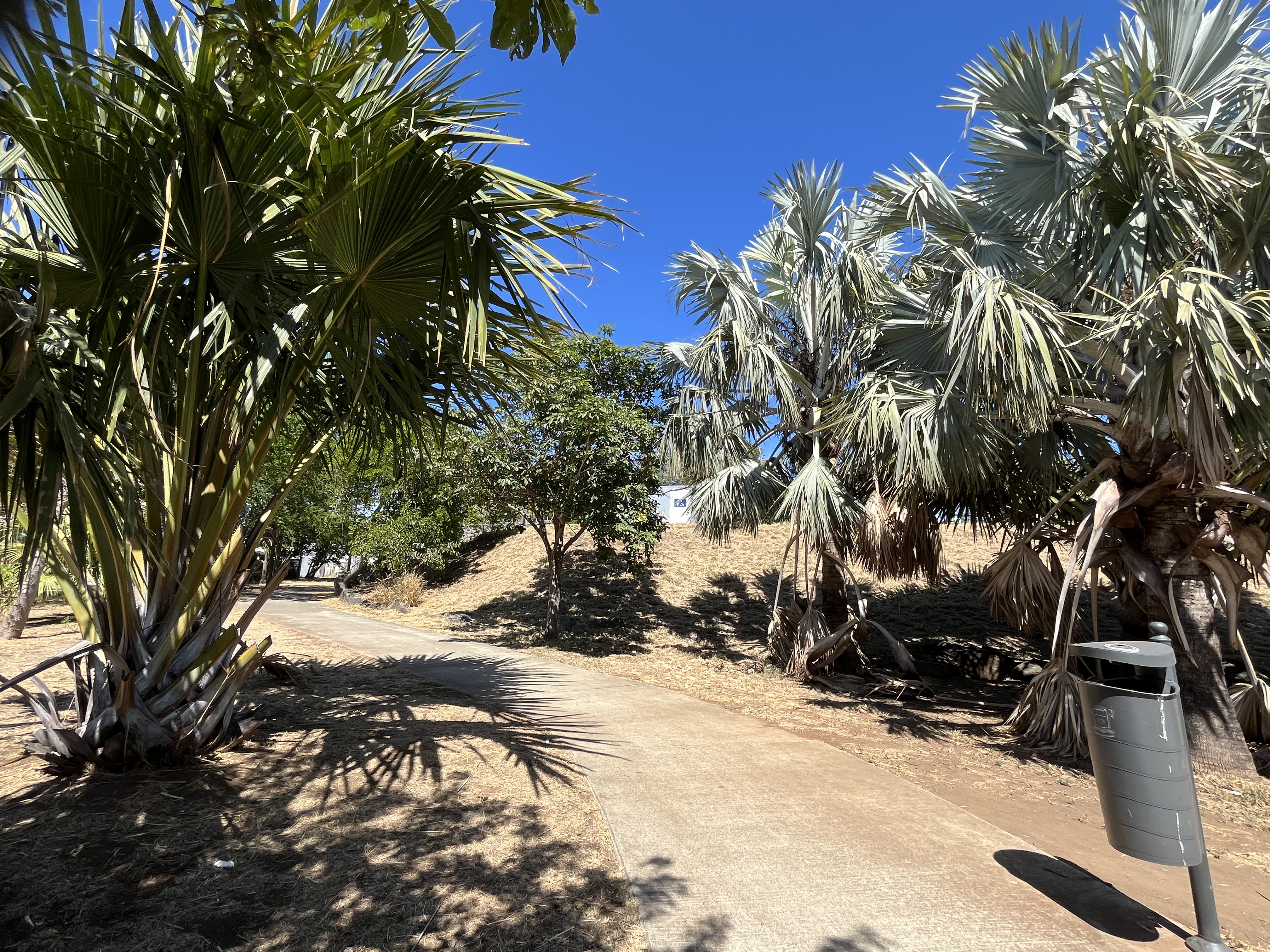 Ravine Blanche parc Urbain
