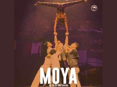 MOYA par le ZIP ZAP CIRCUS