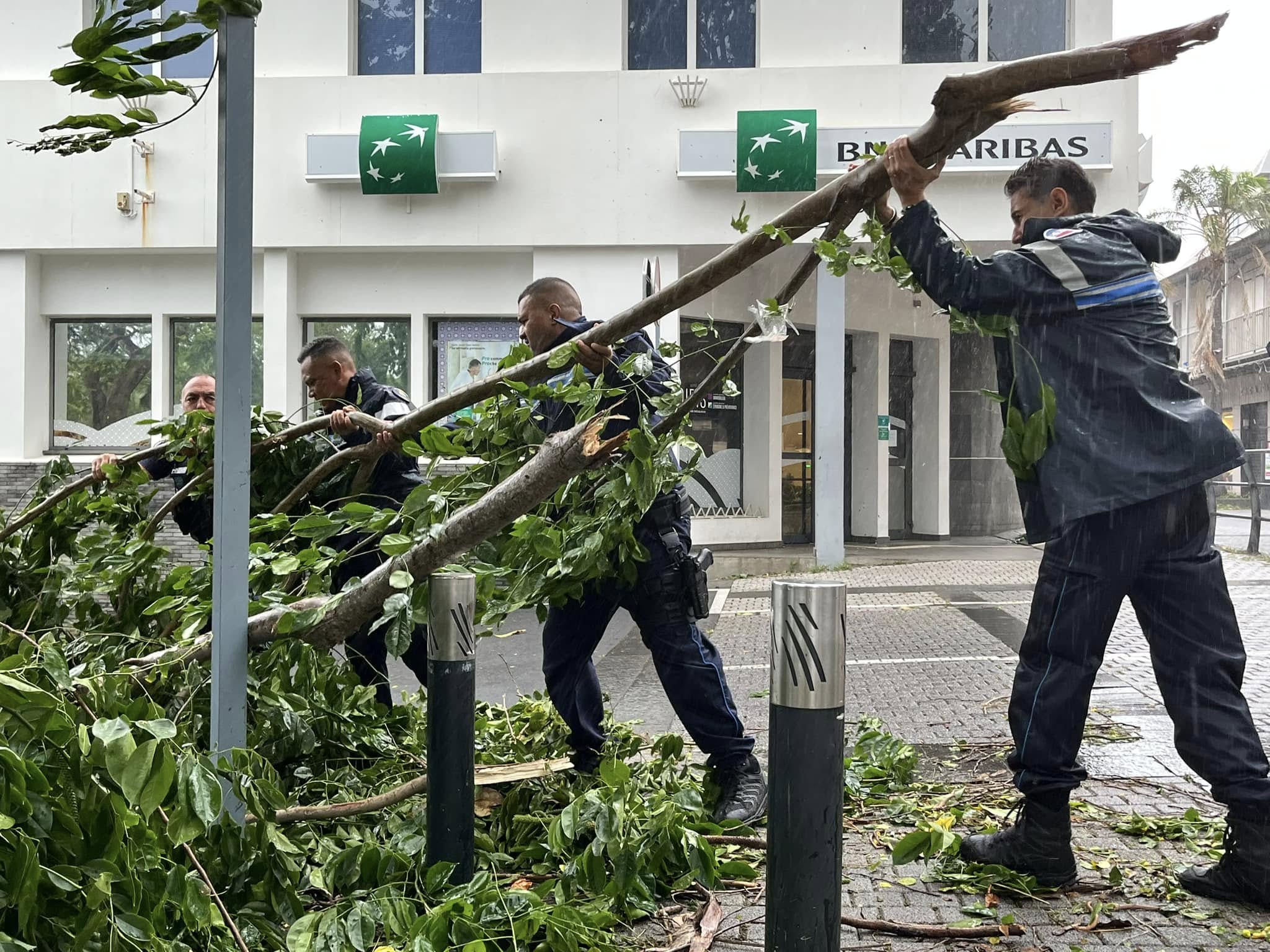 Gestion post-cyclonique