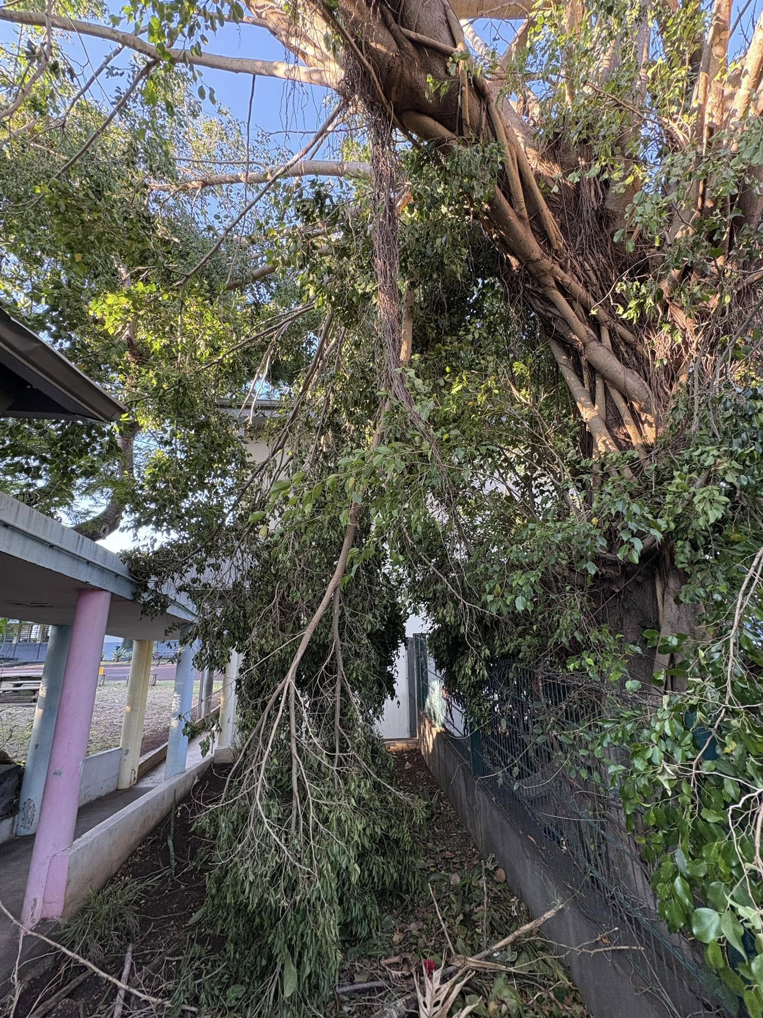 Infos post-cyclone : CENTRE AERE annulé les 3 et 4 mars et BAIGNADE INTERDITE