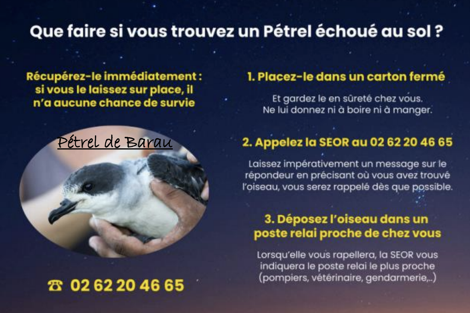 petrels instruction 2025