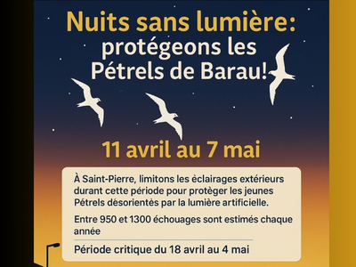"Les jours de la  nuit" : Saint-Pierre participe dès le 11 avril aux "Nuits sans lumière 2025" 