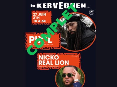 PIX’L / Nicko Real Lion