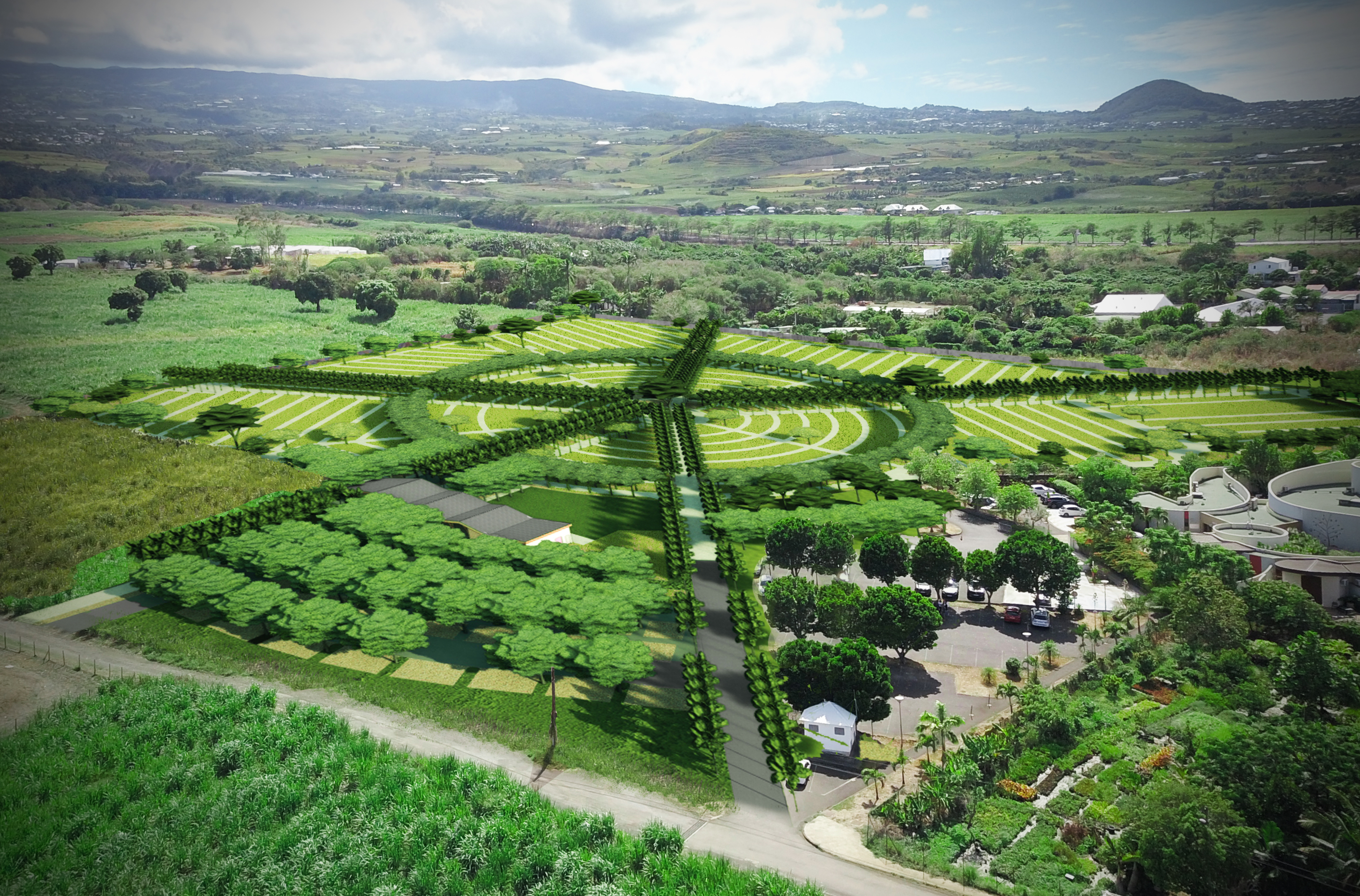 Projet cimetière Ligne Paradis
