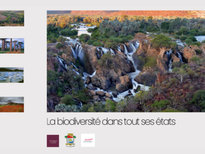 "Nature, la biodiversité dans tous ses états"