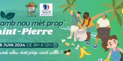 Opération "Clean Up"