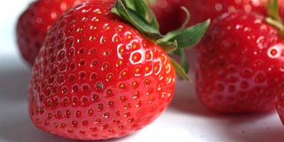 Fête de la Fraise : casting ouvert pour l'élection de Miss Fraise 2024