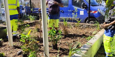 Végétalisation de la Mairie Annexe de Grand Bois