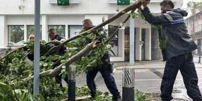 Gestion post-cyclonique