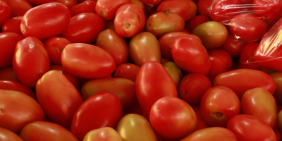 Aide aux agriculteurs : vente de fruits/légumes autorisés une semaine sur la voie publique