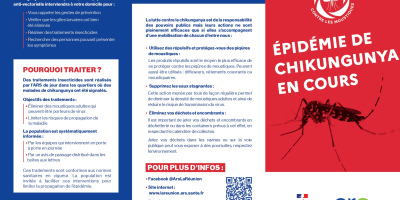Epidémie de Chikungunya : un haut niveau de transmission