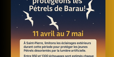 "Les jours de la  nuit" : Saint-Pierre participe dès le 11 avril aux "Nuits sans lumière 2025" 