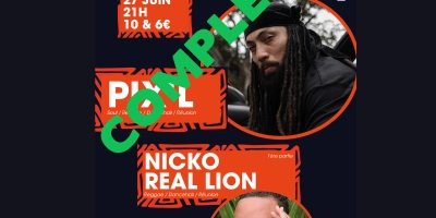 PIX’L / Nicko Real Lion