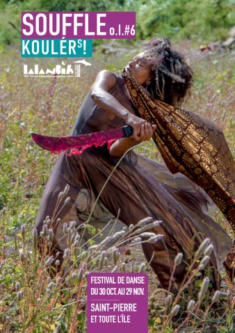 Festival de danse (lalanbik)